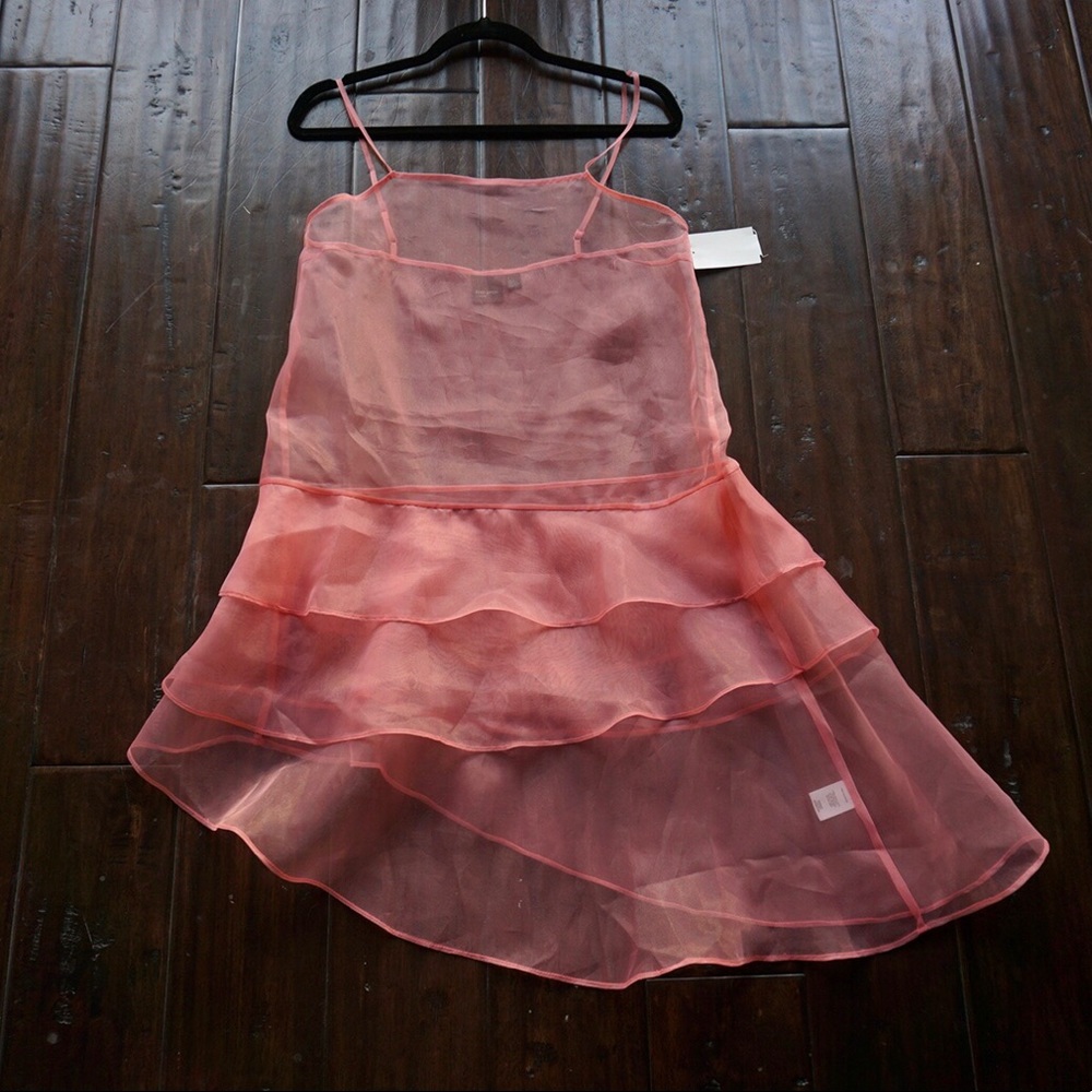 Pink sheer Free Press dress.